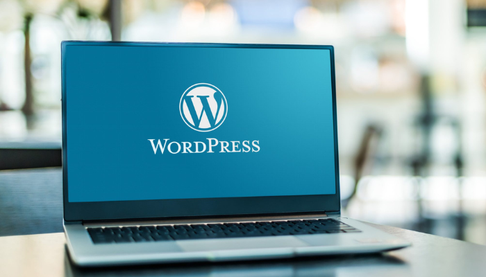 5 Best Agencies for Hire WordPress Developer in India 2024