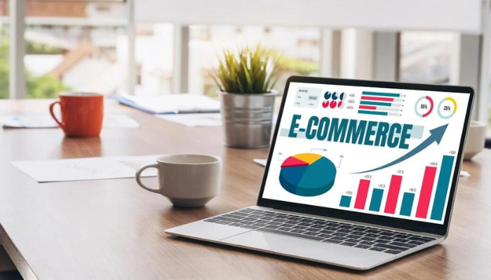 Best E-commerce Development in Asian nation 2024